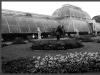 The Palm House, Kew Gardens